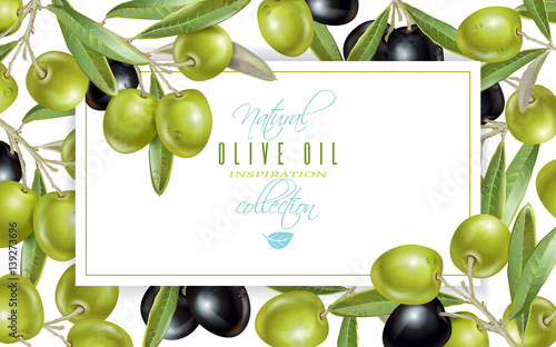 Olive horizontal banner