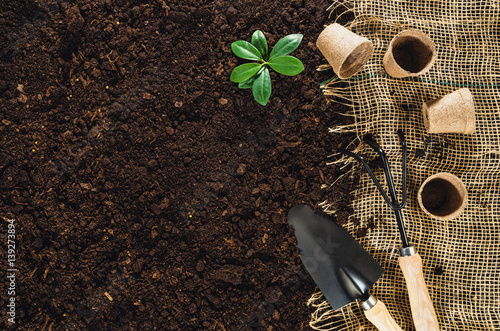 Obraz na plátně Gardening tools on fertile soil texture background seen from above, top view