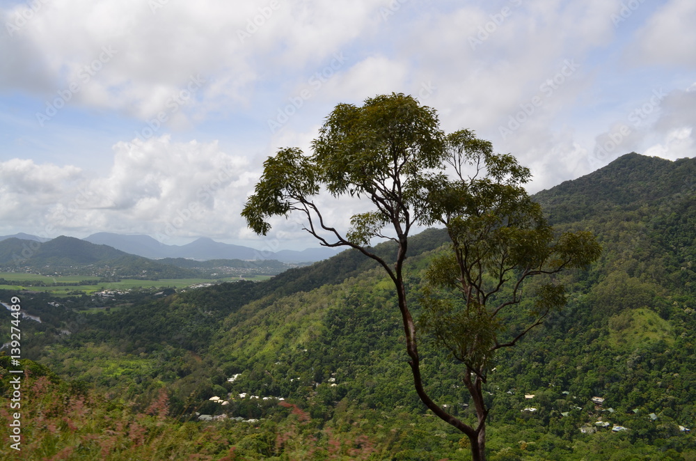 Obraz premium Paysage Australien