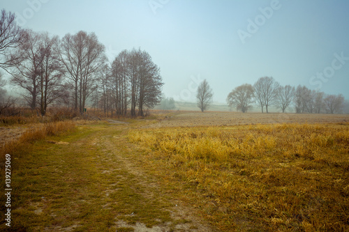 Vintage autumn rural landscape. Country road. Field and trees without leaves. Misty morning in countryside