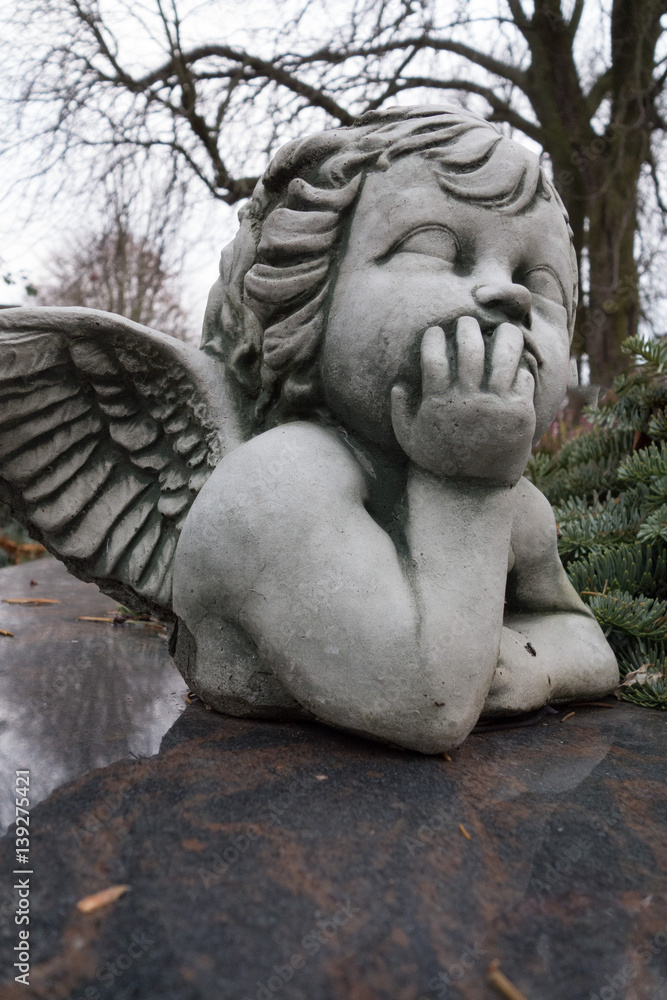 Obraz premium nachdenkliches grabengelchen