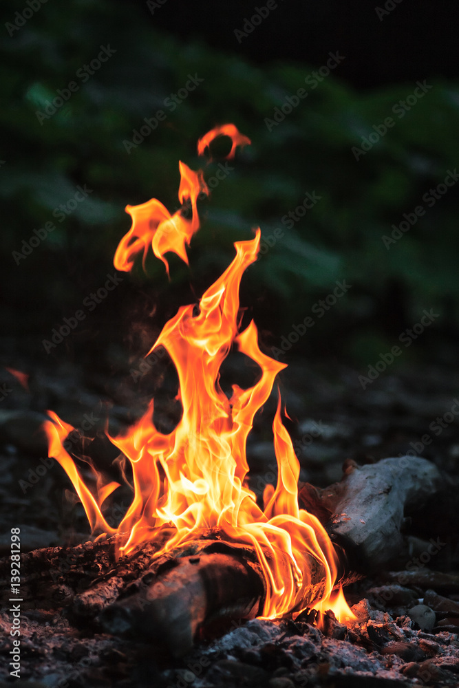 Campfire with flame tongues burning in the evening. Vertical close up view Campfire with flame tongues burning in the evening. Vertical close up view