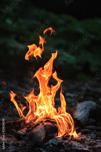 Campfire with flame tongues burning in the evening. Vertical close up view
