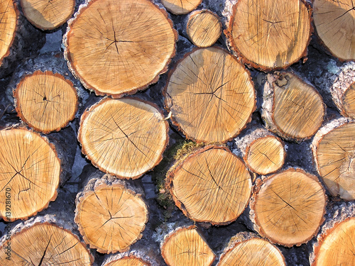 Stacked chopped round oak tree logs firewood background