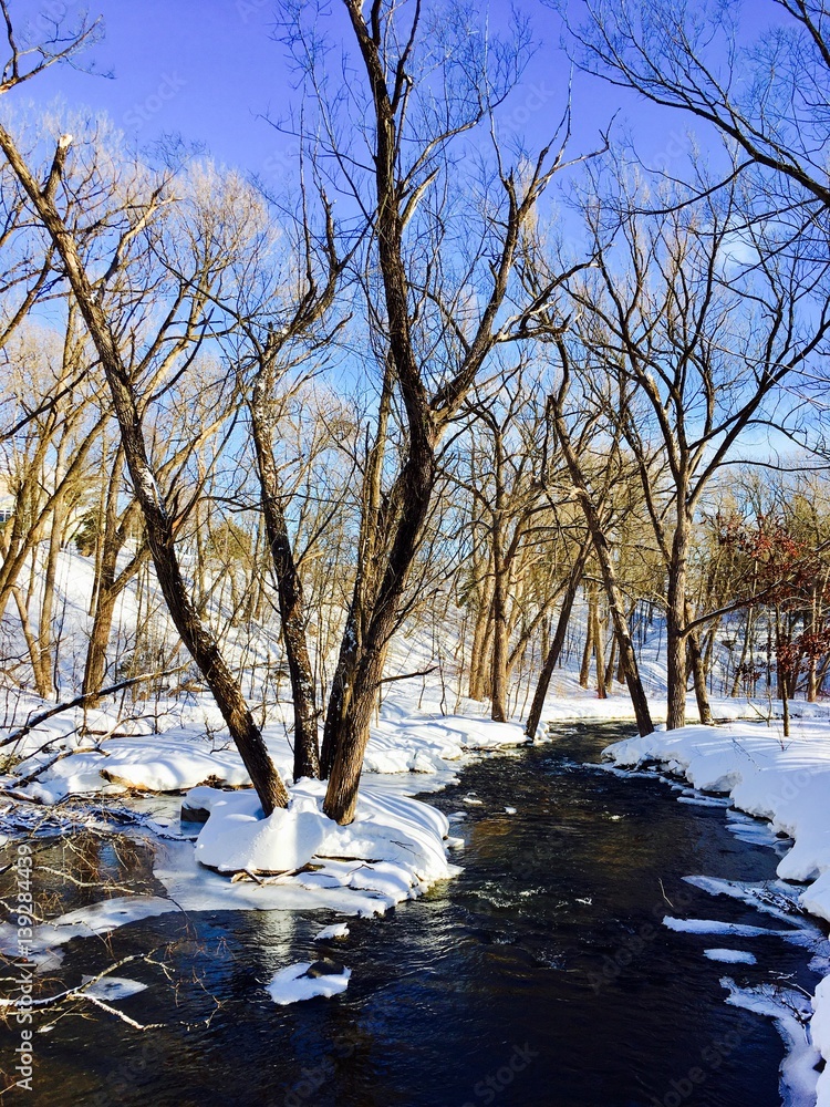 rivière en hiver - obrazy, fototapety, plakaty 