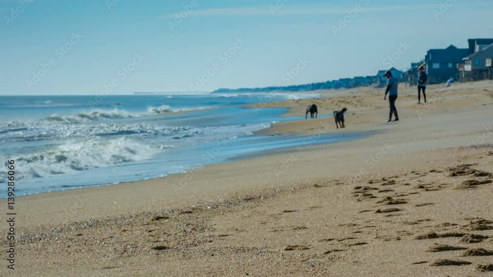 Couple with Two Large Dogs Playing on Beach in Kitty Hawk Outer Banks NC with Atlantic Ocean Waves Breaking Onto the Sand on a Sunny Day in North Carolina Couple with Two Large Dogs Playing on Beach in Kitty Hawk Outer Banks NC with Atlantic Ocean Waves Breaking Onto the Sand on a Sunny Day in North Carolina