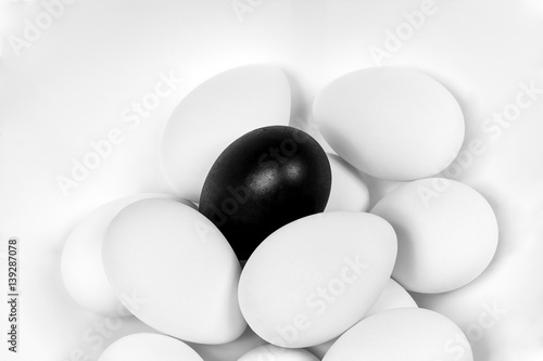 White Eggs and one Black Egg