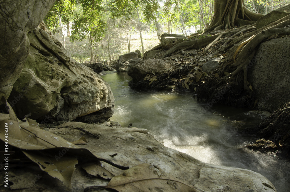 Fototapeta premium A small stream flowing
