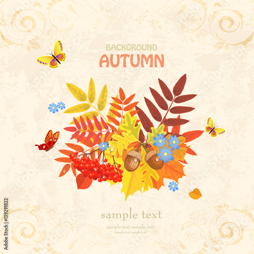 Autumn greeting card with colorful fall leaves and butterflies o