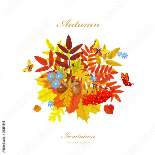 Autumn greeting card with colorful fall leaves and butterflies f
