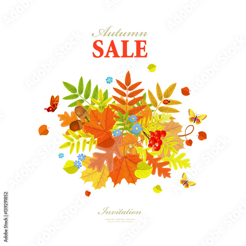Autumn greeting card with colorful fall leaves and butterflies f