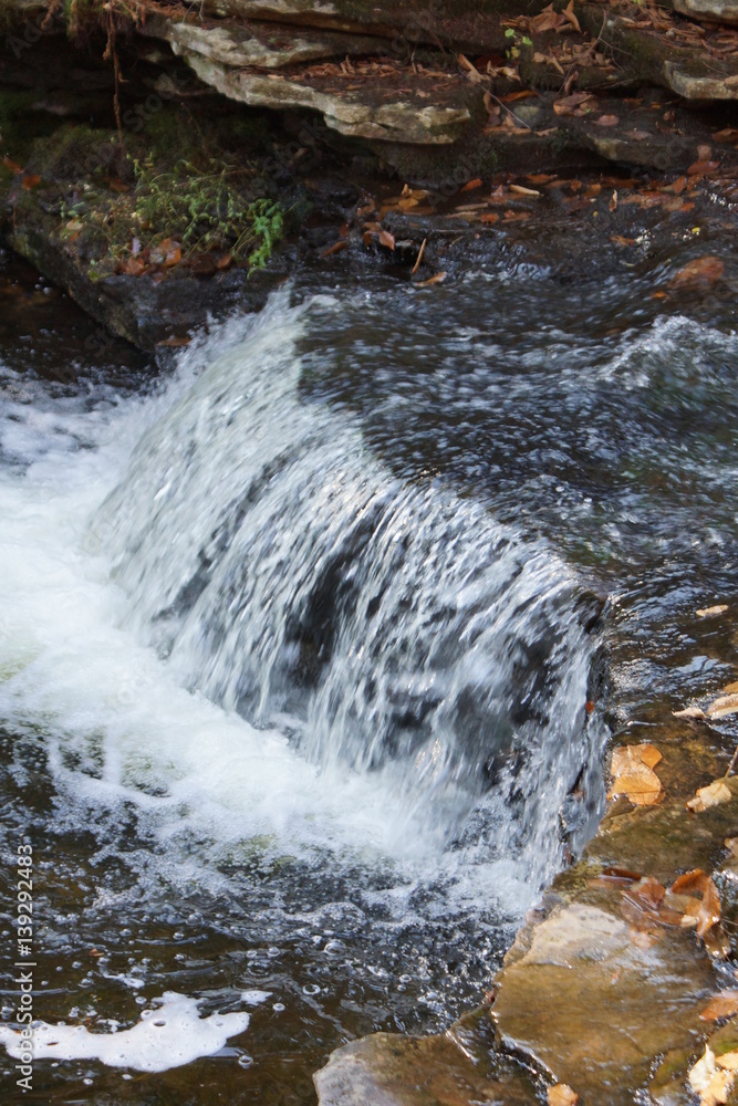 Fototapeta premium Ricketts Glen