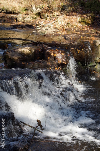 Ricketts Glen photo