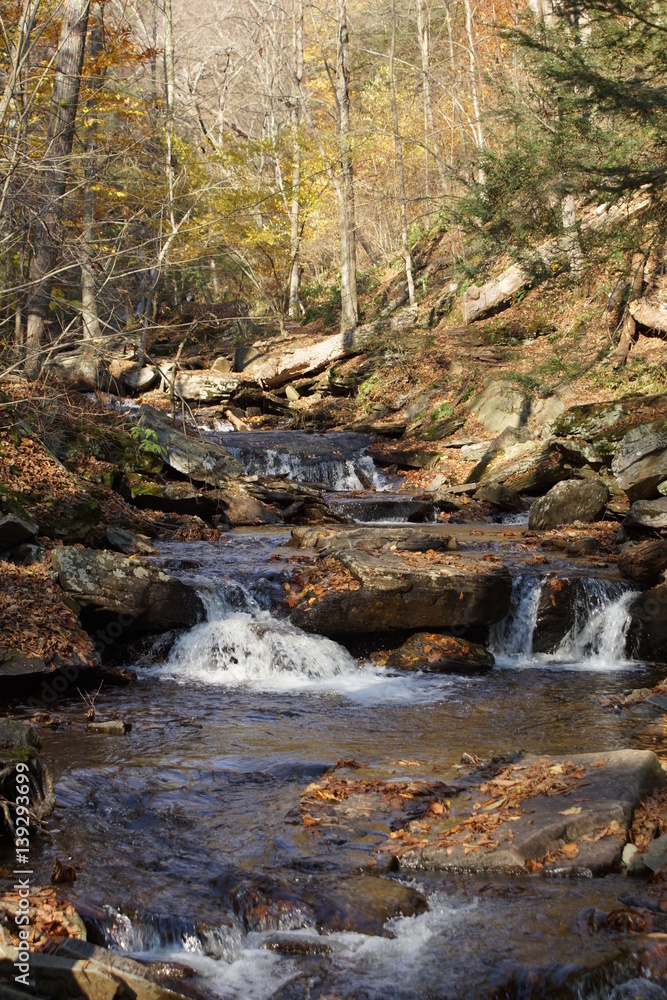 Ricketts Glen