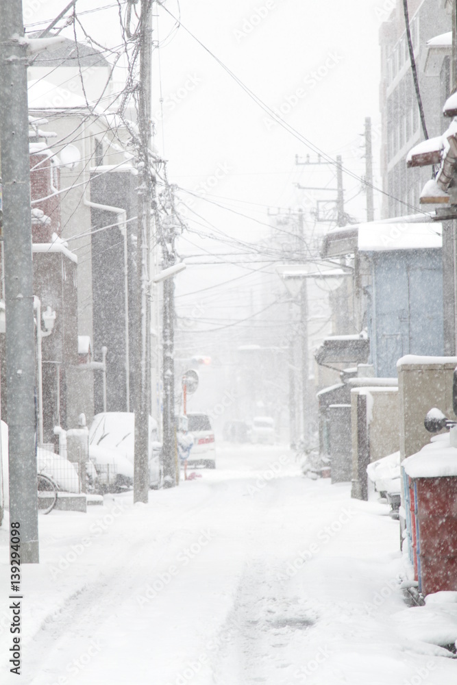 Obraz premium Winter