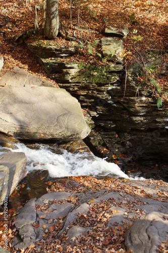 Ricketts Glen photo