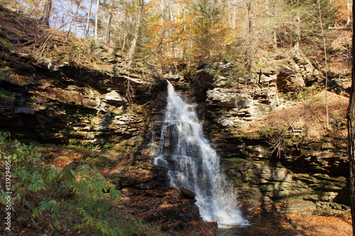 Ricketts Glen photo