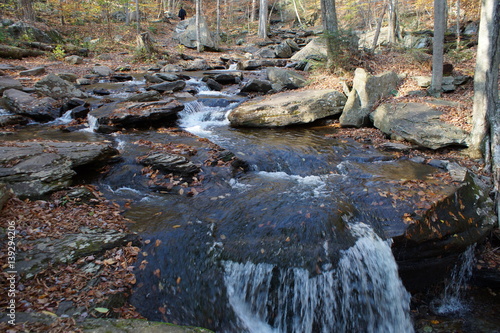 Ricketts Glen photo