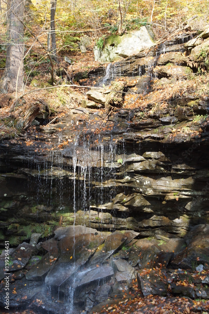 Fototapeta premium Ricketts Glen