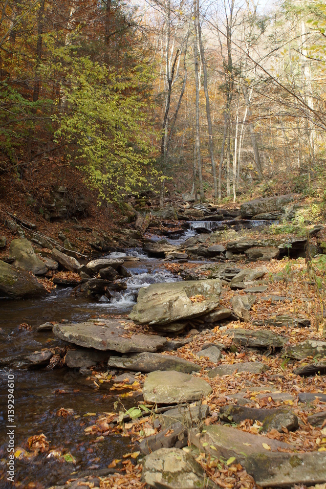 Ricketts Glen Ricketts Glen