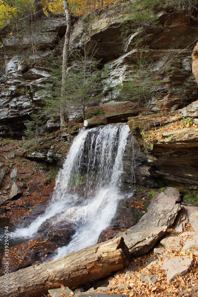 Obraz premium Ricketts Glen