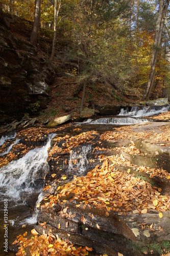 Ricketts Glen photo