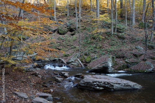 Ricketts Glen