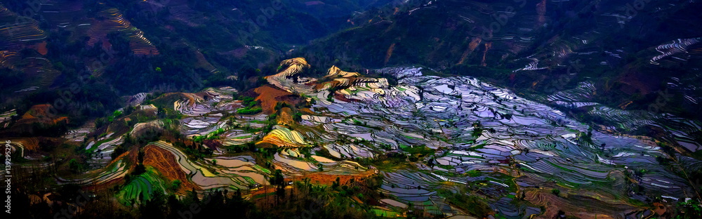 Terraced rice fields in Laohuzui Yuanyang County