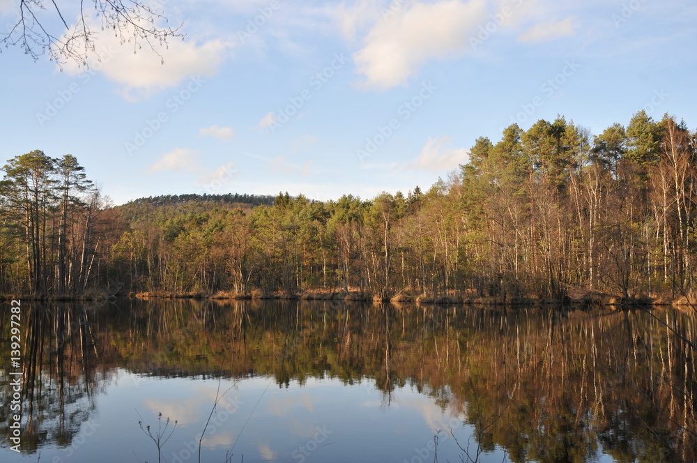 lake in forest at spring lake in forest at spring