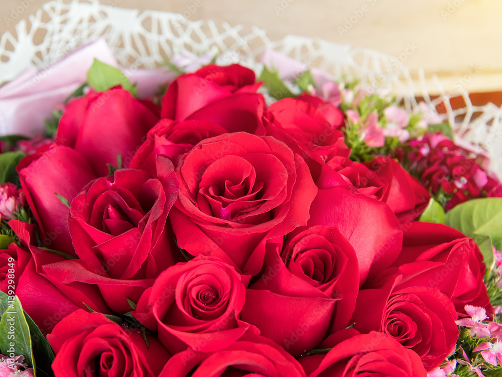 red rose background ,natural texture red rose background ,natural texture