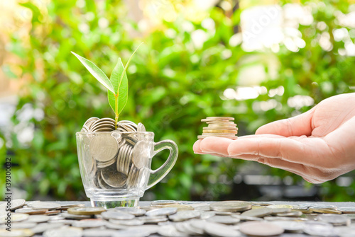 Woman hand putting the coin in the glass with growing plant and sun light - Concept of saving money3 photo