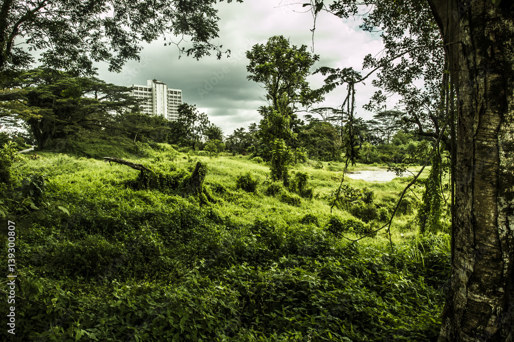 Obraz premium Abandoned apartment complex