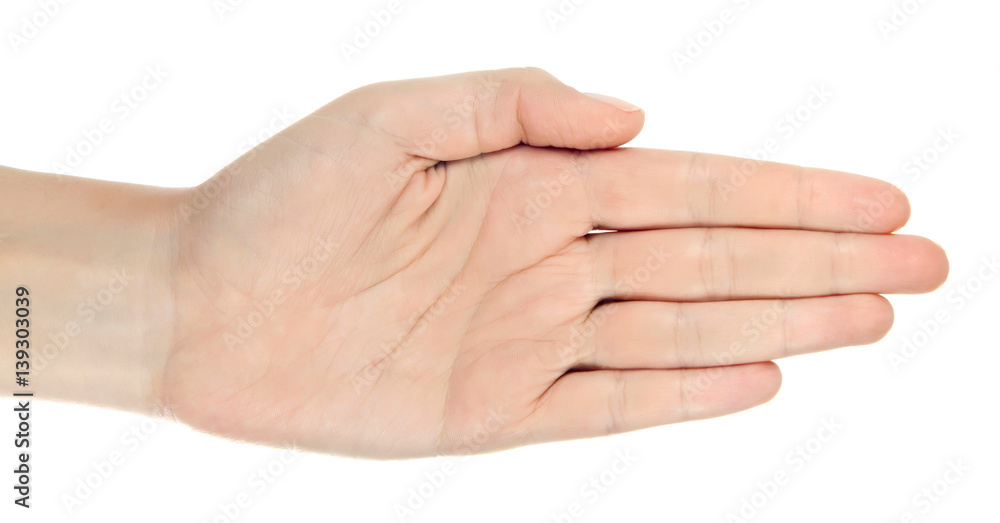 Stretched hand of woman isolated over white background. Open palm hand gesture of woman hand. Close up of open palm isolated over white background. Stretched hand of woman isolated over white background. Open palm hand gesture of woman hand. Close up of open palm isolated over white background.