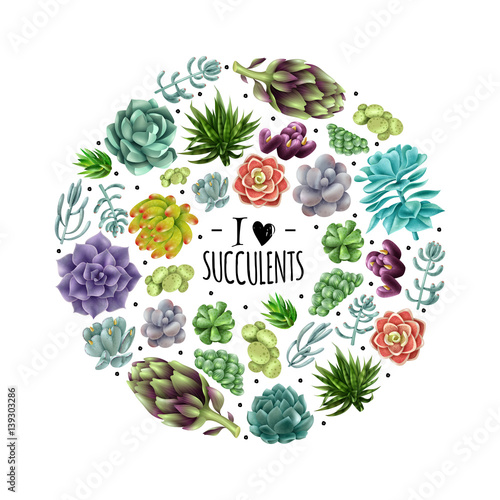 Isolated colored succulents