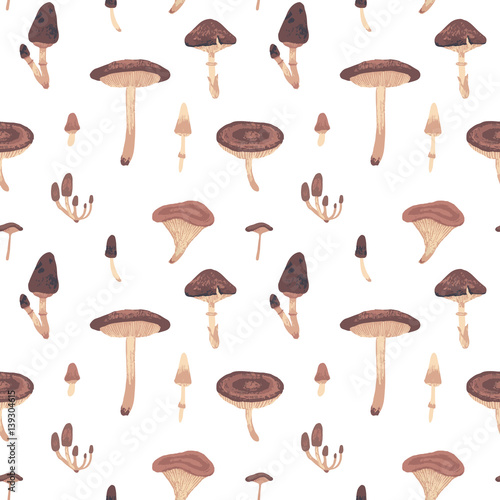 Forest mushrooms seamless pattern. Vector illustration