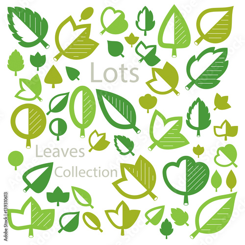 Hand-drawn illustration of simple tree leaves isolated. Green foliage, spring herbs collection. Vector botanical symbols can be used as design elements in ecology conservation theme.