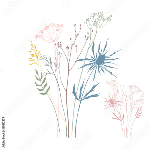 Vector illustration with wild meadow flowers, leaves and plants in a bouquet