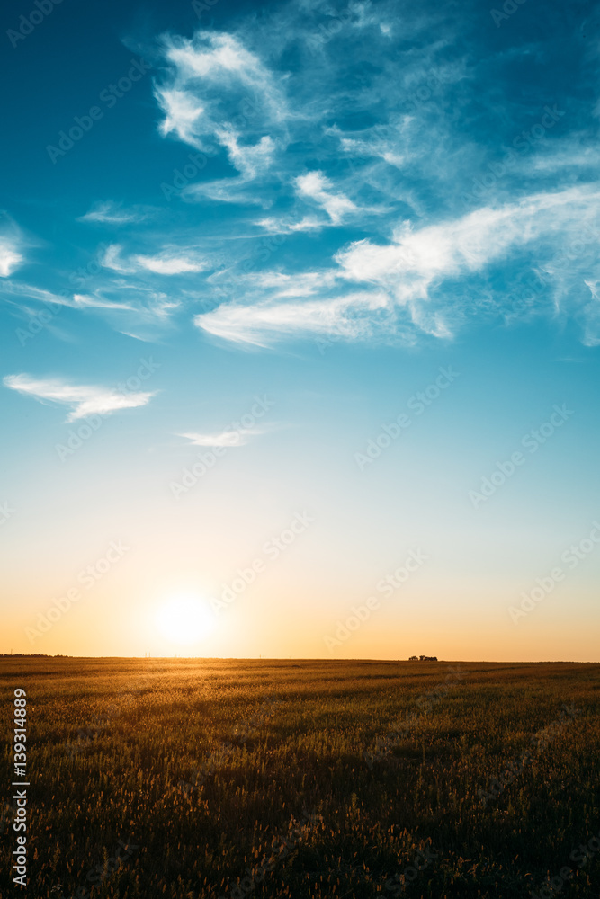 Sunset, Sunrise, Sun Over Rural Countryside Field. Bright Blue And Yellow
