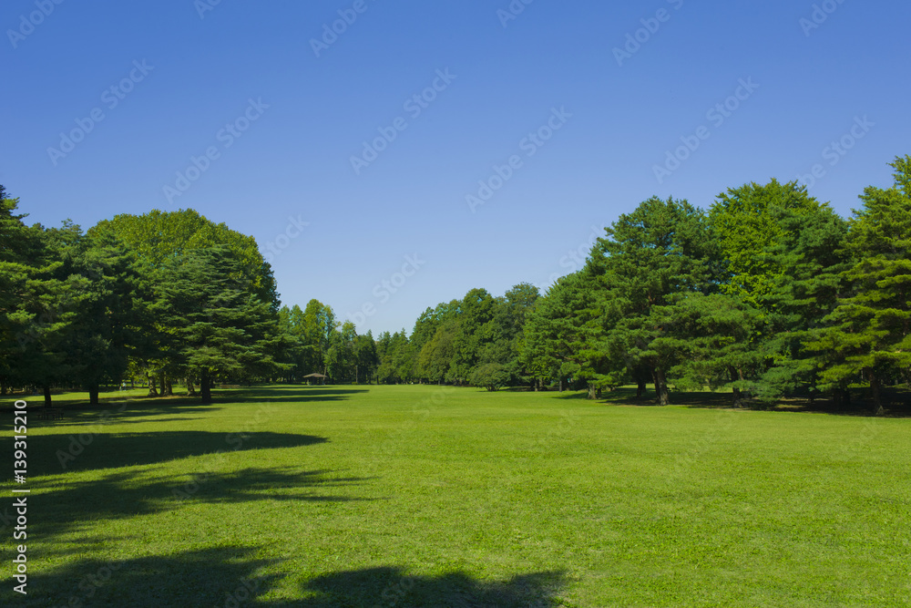 公園　芝生広場