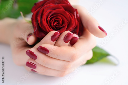 Hands of a woman with dark red manicure with red rose