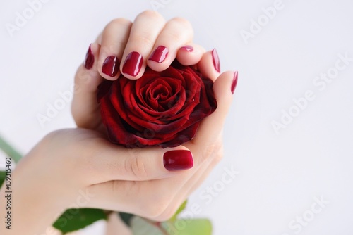 Hands of a woman with dark red manicure with red rose