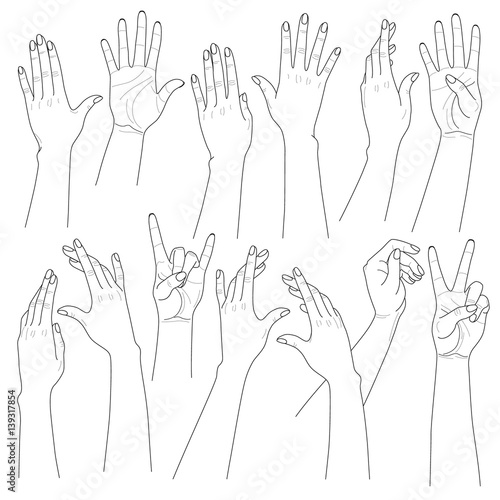 Woman hands set