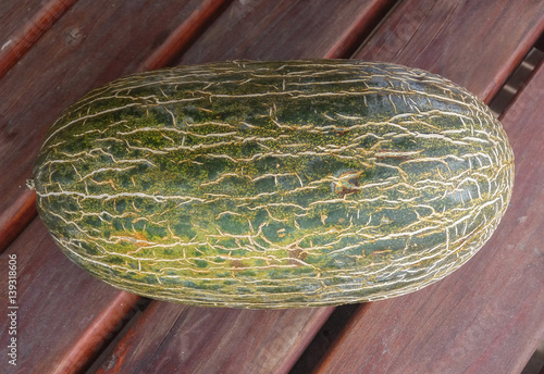 Santa Claus Melon