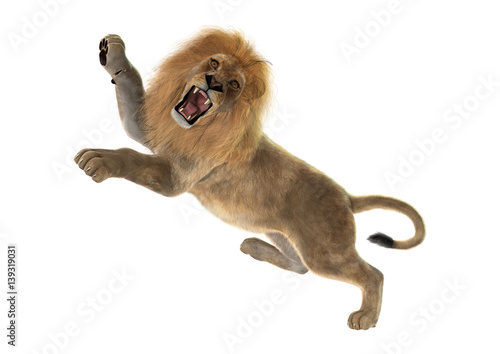 Fototapeta Naklejka Na Ścianę i Meble -  3D Rendering Male Lion on White