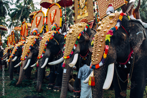 Kerala, India - February, 2016: Thrissur elephant festival. Elephant festival in Kerala. photo