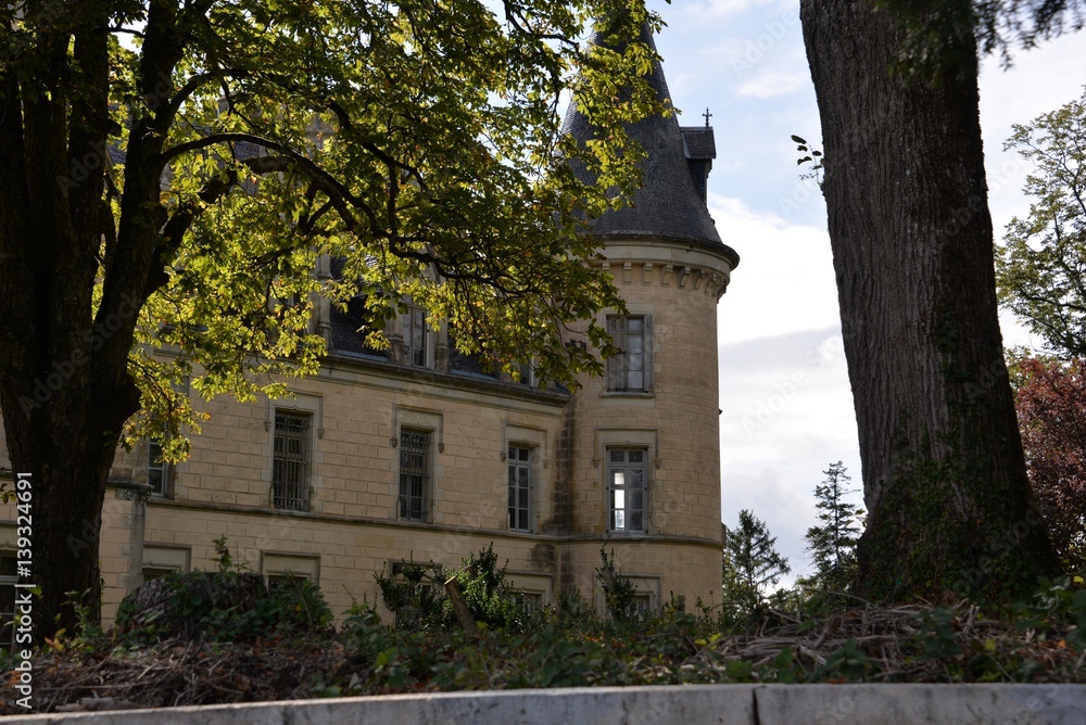 Obraz premium Château de Sougy sur Loire