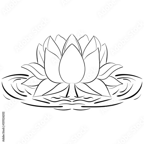 Lotus sketch Flower design elements illustration