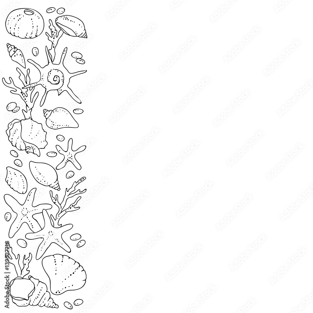 vector black white contour sketch of sea shells frame line vector black white contour sketch of sea shells frame line