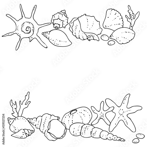 vector black white contour sketch of sea shells frame line