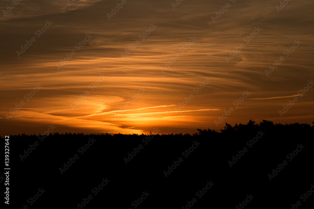 Sonnenaufgang in der Wulmstorfer Heide
Sunrise in the Wulmstorfer heathland